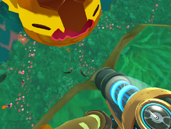 The Moss Blanket/Feral Path, Slime Rancher Wiki