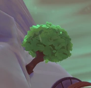 A hanging Prickle Pear tree.