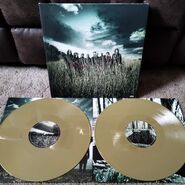 Gold Vinyl (UK Webstore Exclusive)