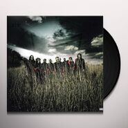 Black Vinyl