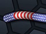 United States Skin