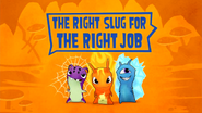 The Right Slug For The Right Job