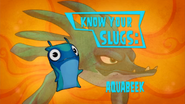 Know Your Slugs 'AquaBeek'