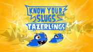 Know Your Slugs 'Tazerling'