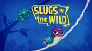 Slugs In The Wild