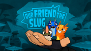 Our Friend The Slug