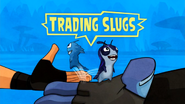 Trading Slugs