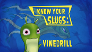 Know Your Slugs 'Vinedrill'