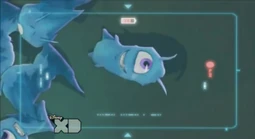 Slug looking at camera.