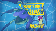 Know Your Slugs 'Arachnet'