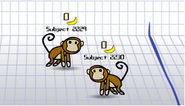 Multiplayer Monkeys