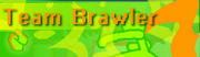 Team Brawler