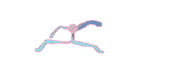 Sticknology.png