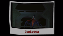 The Contessa, Sly Cooper Wiki