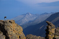 Colorado Rockies