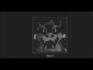 A tape of someone discovering the Bowser Room.