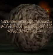 WATCH FOR ROLLING ROCKS4.png