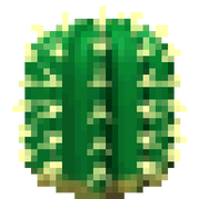 Cactus