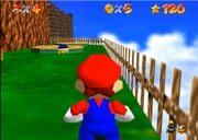 An example of a Buzzy Beetle manifestation 