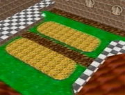 Internal Garden Original