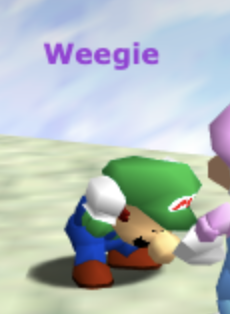 Weegie | Sm64js Wiki | Fandom