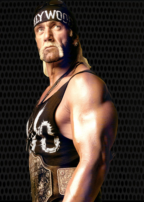 Randy Savage, Smackdown vs Raw wiki