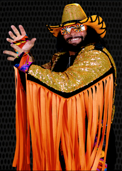 https://static.wikia.nocookie.net/smackdown/images/6/6b/MachoMan.png/revision/latest/scale-to-width-down/250?cb=20150917142721