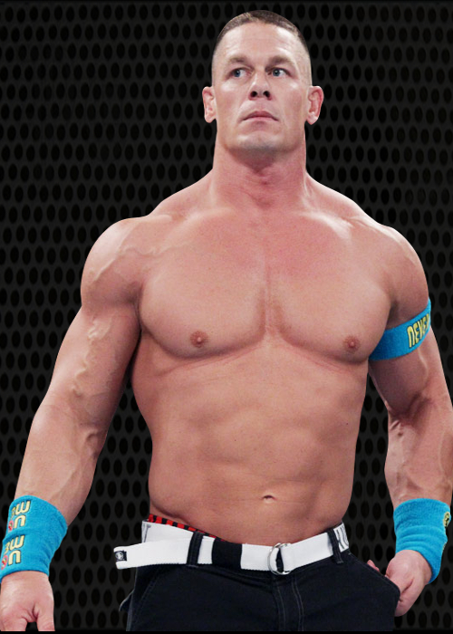 wwe champion john cena 2009