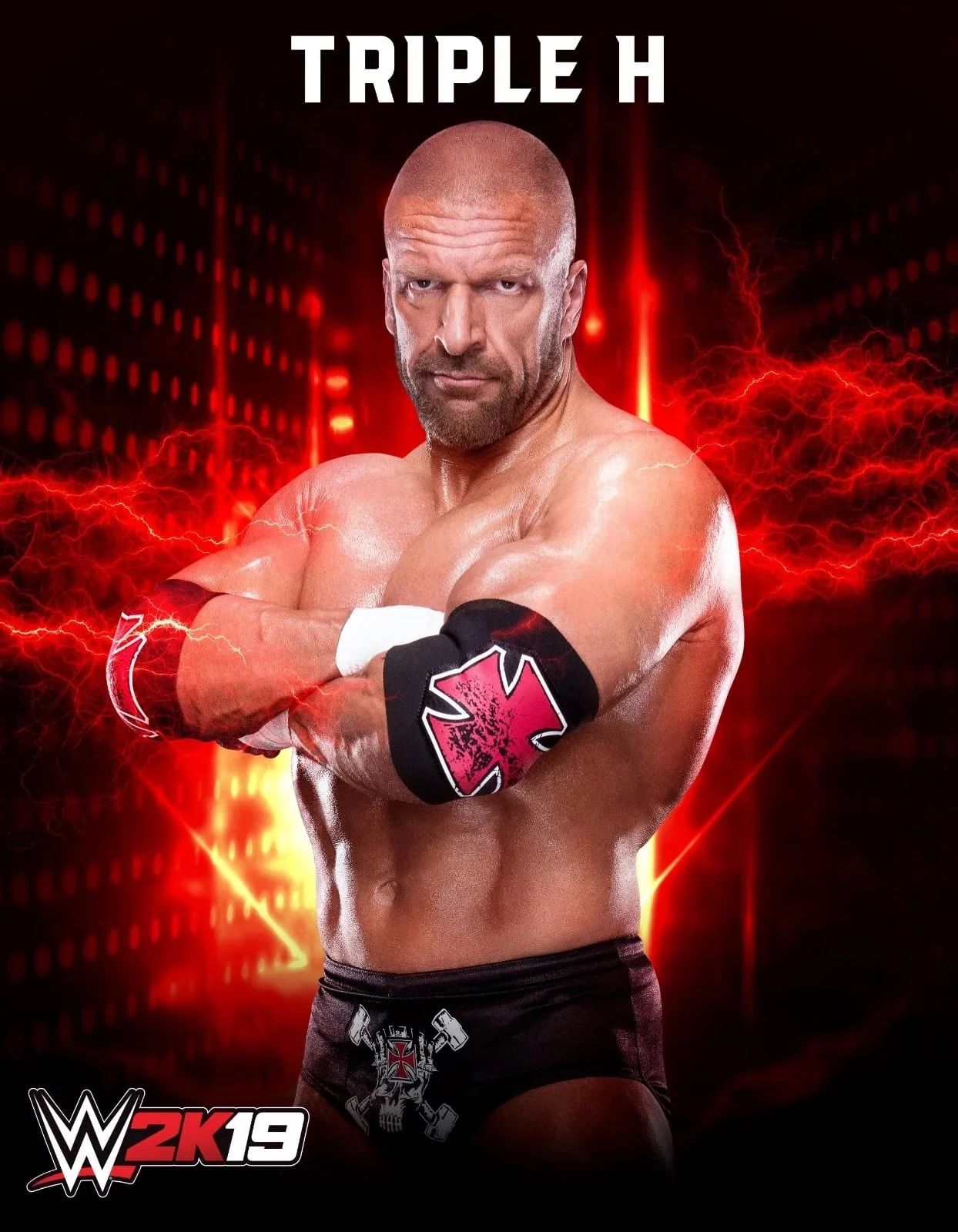 wwe superstar triple h