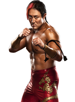 Yoshi Tatsu | Smackdown vs Raw wiki | Fandom