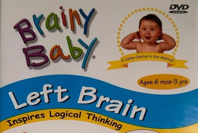 Brainy Baby: Vol. 1, Right Brain | Small Fry Productions