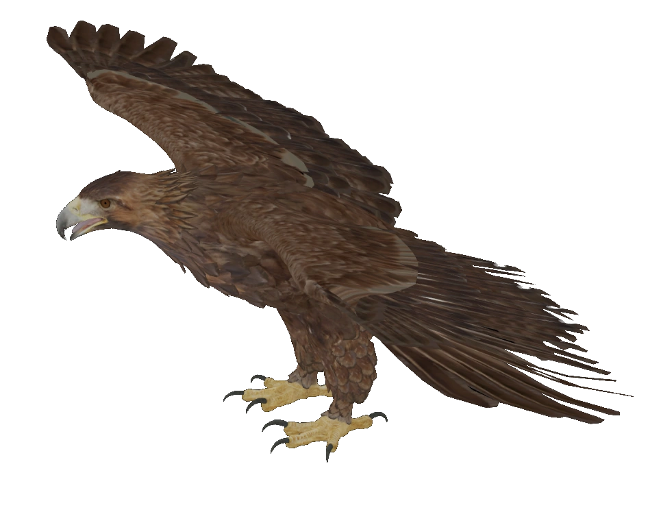 Golden Eagle Smalland Survive the Wilds Wiki Fandom