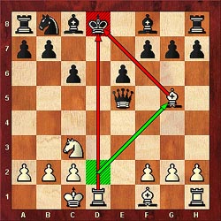 What does double-check mean in four-player chess on chess.com