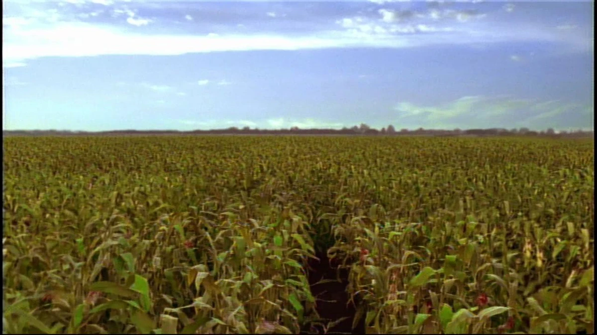 Riley Field (Earth 1) - SirJeffCena | Smallville Fanon Wiki | Fandom