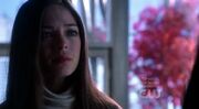 Lana Lang (Smallville)16