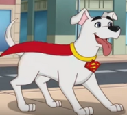 Krypto the Super-Dog in DC Super Hero Girls shorts