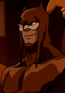 Wildcat in Young Justice.