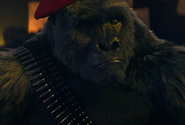 Jonathan Lipow as the voice of Monsieur Mallah in Doom Patrol (2021-)