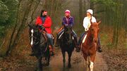 Clark, Chloe and Lana are horseback riding.