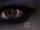 S0802-15.png