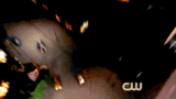 Th sv10x0120
