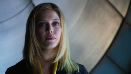 Canary profile2
