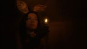 Lois Lane - Bunny