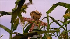 A mannequin Scarecrow.