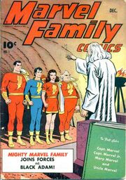 251573-1066-119538-1-marvel-family-the