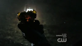 Svgold1