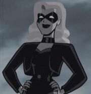 Dinah Drake Lance/Black Canary in Batman: The Brave and the Bold.