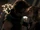 922Smallville0787.jpg