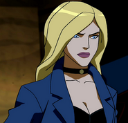 Vanessa Marshall as the voice of Dinah Lance/Black Canary in Young Justice.