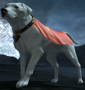Krypto the Super-Dog in DC Universe Online